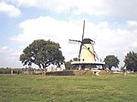 טחנת הרוח מולן דה וינדהונד (Molen De Windhond)