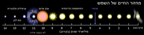 מחזור החיים של השמש