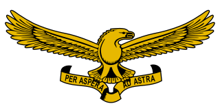 South African Air Force Air warfare branch of the Republic of South Africas armed forces