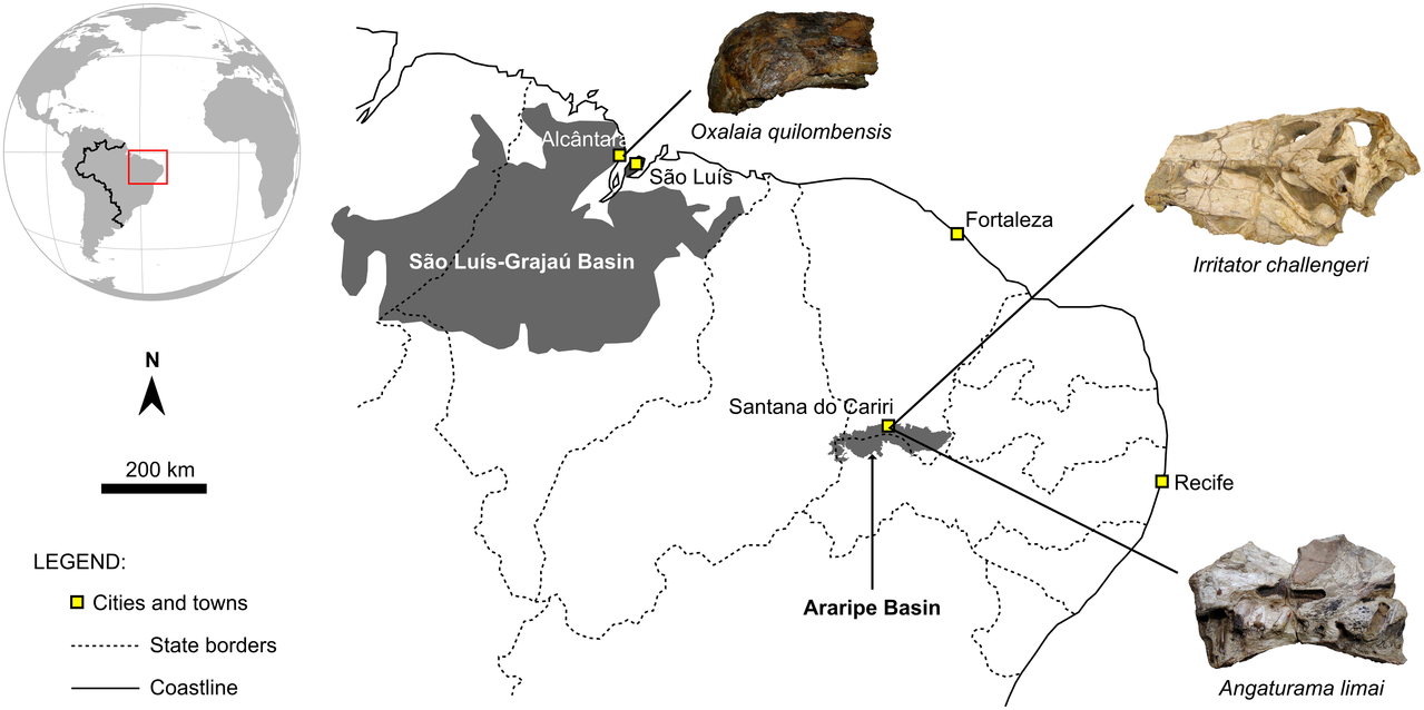 Mapa que exibe a representação da Região Nordeste do Brasil