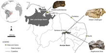 Mapa de la región noreste de Brasil, con los sitios de descubrimiento de fósiles marcados de Oxalaia, Irritator y Angaturama