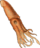 40px-Squid_transparent