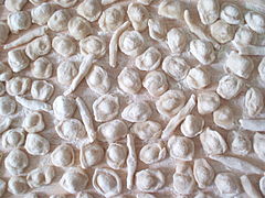 Orecchiette pugliesi