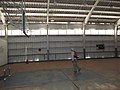 Starr-150326-1660-Ficus benjamina-Forest with basketball inside gym-Gym Sand Island-Midway Atoll (25149290442).jpg