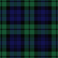 Image of Government 1A tartan