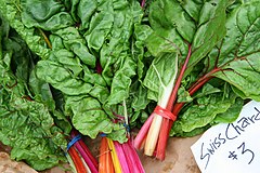 Chard - Red Rhubarb - Bali Chard (Beta vulgaris subsp. vulgaris