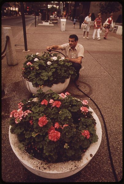 File:THE CITY OF MINNEAPOLIS DEPT. OF PUBLIC WORKS HAS A MAINTENANCE CREW WHO WORK EXCLUSIVELY ON NICOLLET MALL. THE COST... - NARA - 551491.jpg