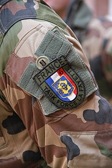 Brigade La Fayette shoulder patch Task force Lafayette prise d'armes Strasbourg 31 janvier 2013 01.JPG