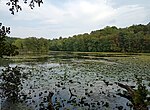 Teatown Lake Reservation