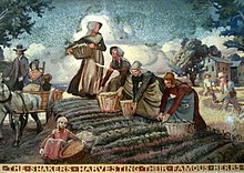 The Shakers harvesting their famous herbs.jpg