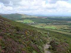 The southern slopes of Tre'r Ceiri - geograph.org.uk - 1571429.jpg
