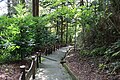 隠津島神社参道