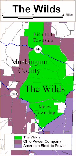 The Wilds, The Wilds Wiki