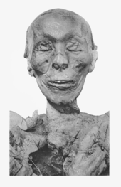 Thutmose II mummy head.png