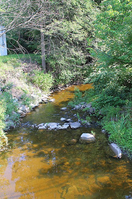 Toby Creek looking upstream