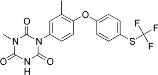 <span class="mw-page-title-main">Toltrazuril</span> Chemical compound