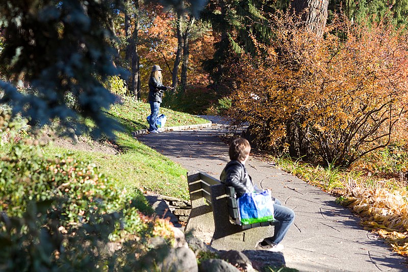 Pontos turísticos - High Park