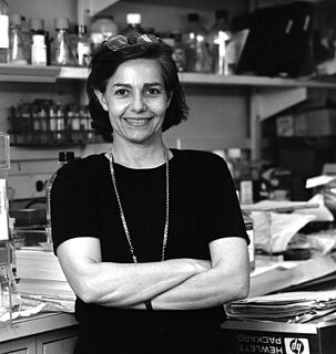 Giovanna Tosato Italian physician-scientist