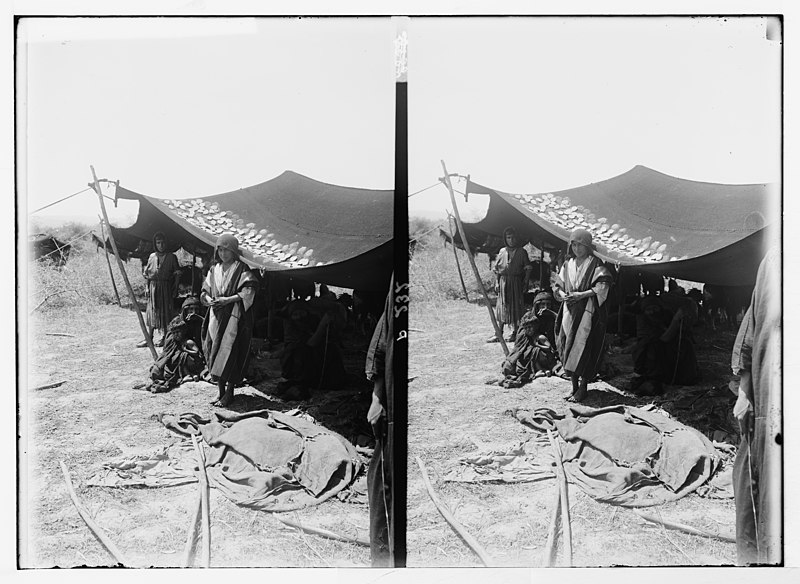 File:Trans-Jordan types. Bedouin tent. Drying cheeses on tent roof. LOC matpc.05981.jpg