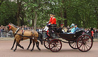 Prince Harry, the Duchess of Cornwall and Prince William in a barouche, 2009