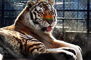 <span class="mw-page-title-main">Cat Tales Zoological Park</span> Zoo in Washington, United States