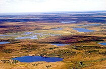 Taymyr landscape