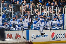 The Falcons bench celebrates a goal during a game in 2018 USAFA Men's Ice Hockey v Bentley University (4930542).jpg