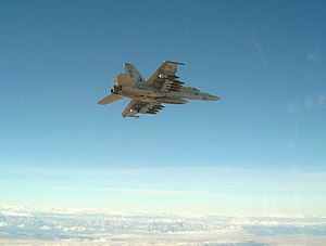 US Navy 040205-N-5859A-001 An F-A-18E Super Hornet assigned to the Eagles of Strike Fighter Squadron One One Five (VFA-115) carries ten Mark 83 bombs.jpg