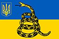 Ukrainian Libertarian flag.jpg