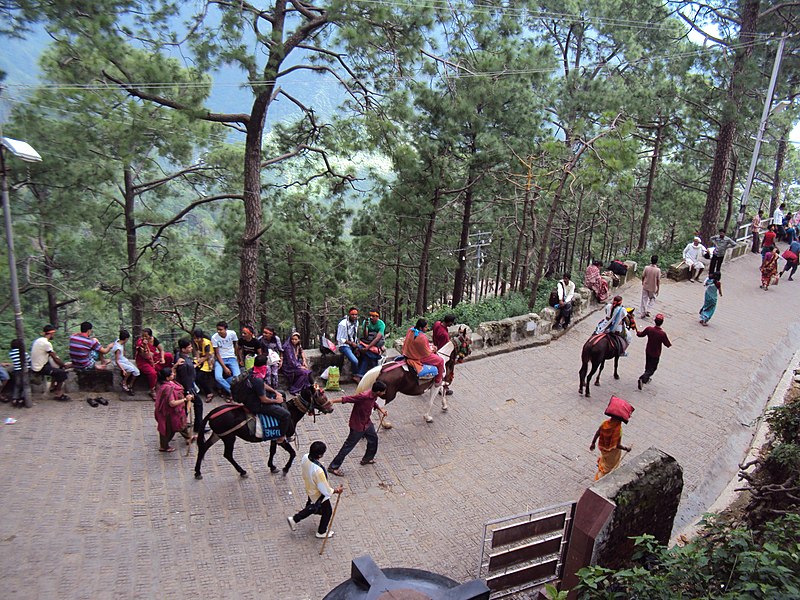 File:Vaishnodevi trail from Katra 38.JPG