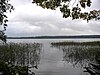 Widok na Park Narodowy Valdai