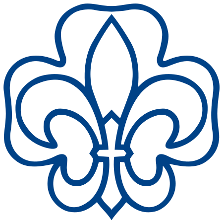Verband Christlicher Pfadfinderinnen und Pfadfinder (VCP) Logo (Lilie)