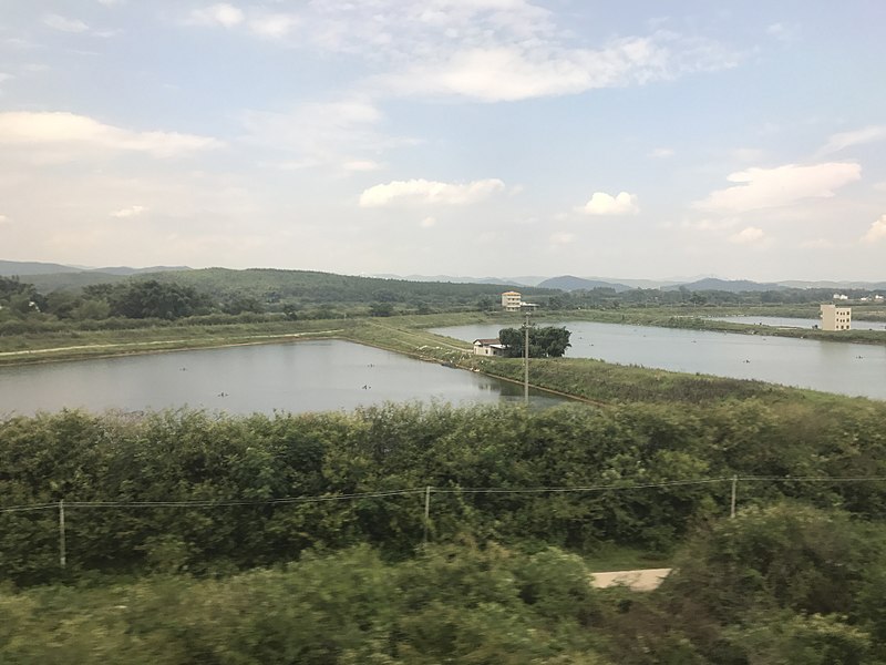 File:View from train for Shenzhen North Station near Shaoguan, Guangdong 1.jpg