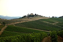 Wein- und Olivenanbaugebiet im Chianti