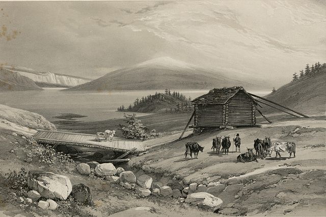 Hildringen in Bindal (1852).