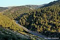 תמונה ממוזערת לגרסה מ־08:40, 4 במאי 2016