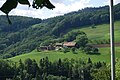 Blick vom Friedhof Ifenthal zum Weiler Wald