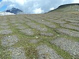 Frostmusterboden in der alpinen Stufe der Schweizer Alpen