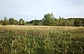 * Nomination Poaceae, in the PCUK site, in Wattrelos, France --Velvet 06:53, 19 October 2023 (UTC) * Promotion Good quality --Llez 08:32, 19 October 2023 (UTC)
