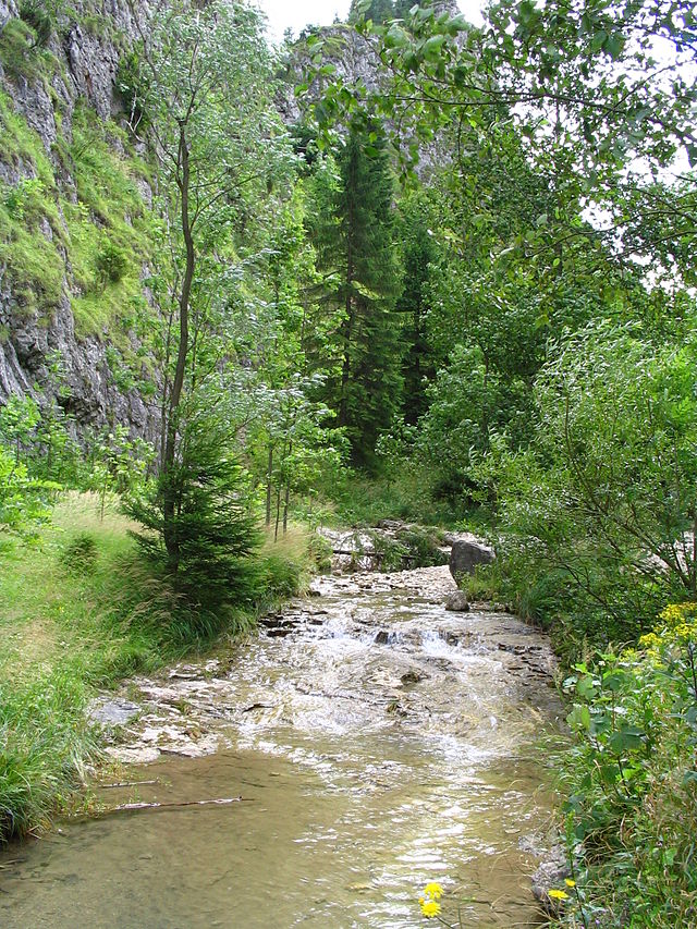 Stream  Urdu Meaning of Stream