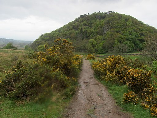 West Highland Way approaching Dumgoyach - geograph.org.uk - 3982433