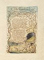 William Blake's The Lamb from his collection Songs of Innocence and of Experience