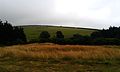 Tumulus at the Winterbourne Poor Lot Barrow cemetery. [10]