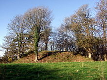 Wolf's Castle mound - geograph.org.uk - 619504.jpg