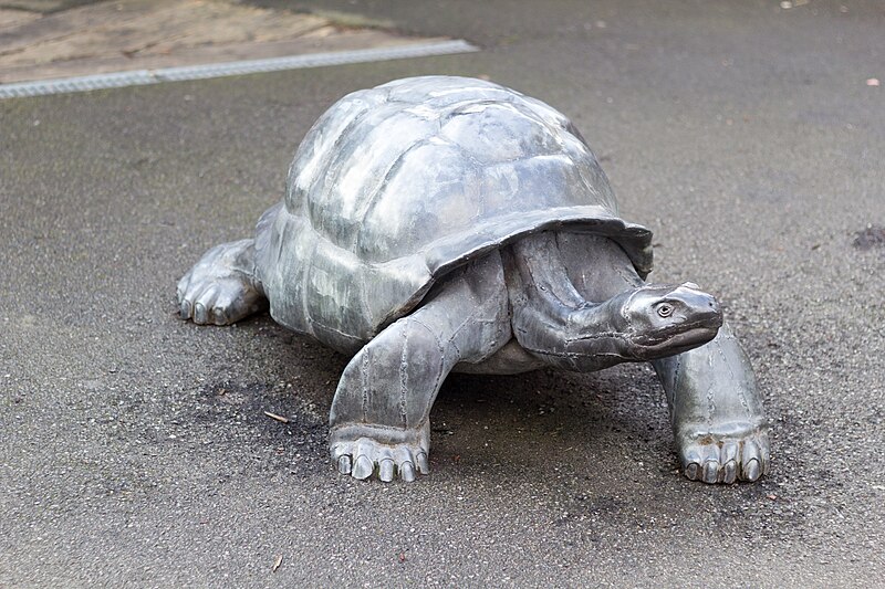 File:ZSL London - Giant Tortoise sculpture (03).jpg