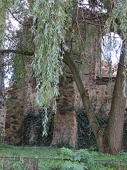 Ziemięcice, ruiny kościoła św. Jadwigi (6).JPG