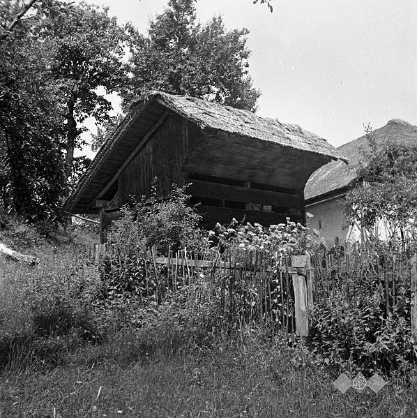 File:"Čebujak" (čebelnjak) (v zimi 1955-56 so vse čebele zmrznile), Kočarija 1956.jpg