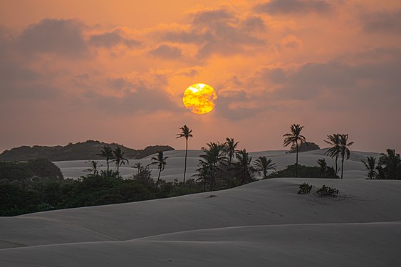 Sol na Área de Proteção Ambiental da Foz do Rio das Preguiças Photograph: Matheus Hobold Sovernigo CC BY-SA 4.0