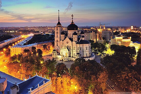 Город воронеж фото. Благовещенский собор Воронеж. Благовещенский храм сверху Воронеж. Благовещенский собор осенний Воронеж. Воронеж Благовещенский кафедральный собор осень.