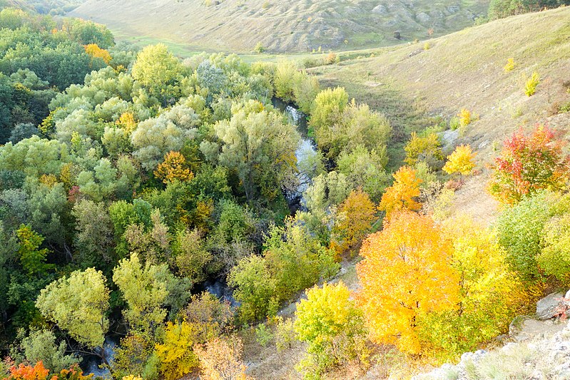 File:Осень на реке Воргол - panoramio (1).jpg